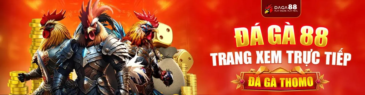 Đá gà trực tuyến Letou Xổ Số